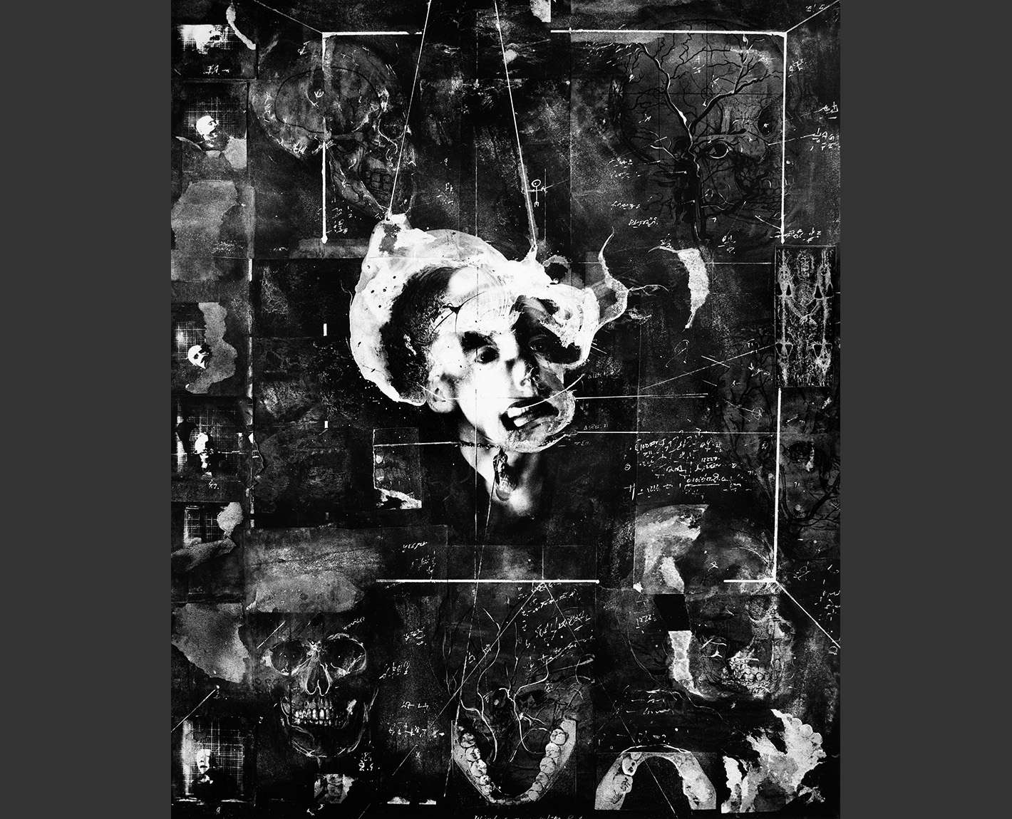 Head Studies, Paul Lowry